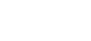 logo negativo ecoconsulting